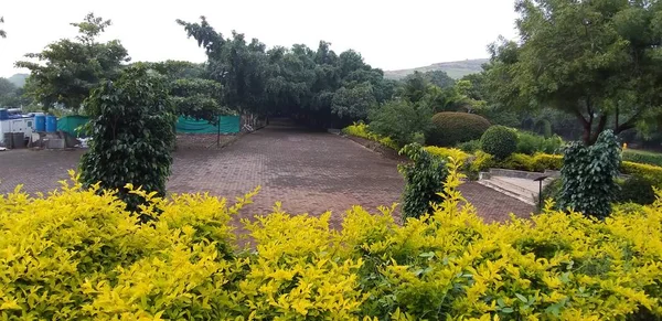 Giardino All Aperto Pune India — Foto Stock