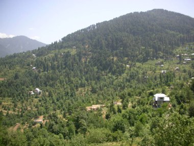 Hindistan 'da kırsal bir bölge.