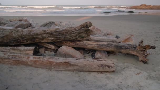 Trä Stockar Stråle Solnedgång Stranden — Stockvideo