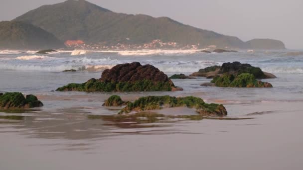 Vista Sulla Spiaggia Mattino Rocce Onde — Video Stock