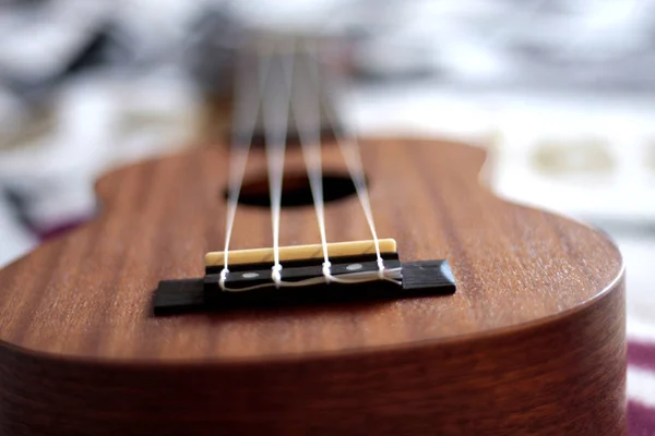 Ukulele Beim Fotoshooting Mit Dem Fotografen — Stockfoto