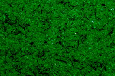 metin Arka plan soyutlama için yeşil doku dekoratif Duvar Kağıdı