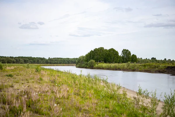 Vue Sur Fleuve Tara Région Omsk Sibérie Russie Environs Des — Photo