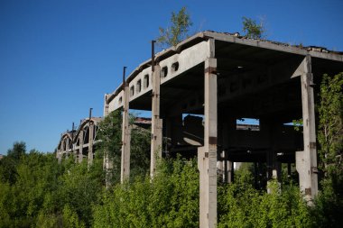 Bitmemiş bina bitkiler ve ağaçlarla kaplı. Doğada terk edilmiş, harabe bir ev..