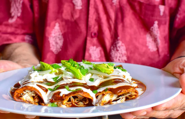 Deliciosas enchiladas de mole con queso —  Fotos de Stock