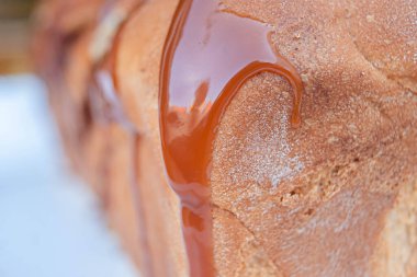 Lezzetli taze pişmiş treenza ekmeği. Sütlü karamelli ve beyaz tabakta yakın plan..