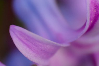 Ramazan arkaplanı, İslami illüstrasyon, desen