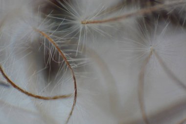 Ramazan arkaplanı, İslami illüstrasyon, desen