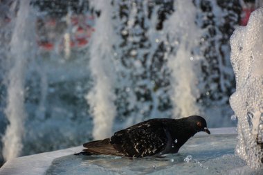 Ramazan arkaplanı, İslami illüstrasyon, desen