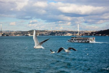 Ramazan arkaplanı, İslami illüstrasyon, desen
