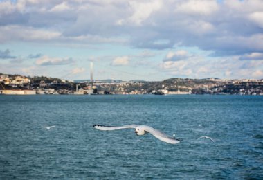 Ramazan arkaplanı, İslami illüstrasyon, desen