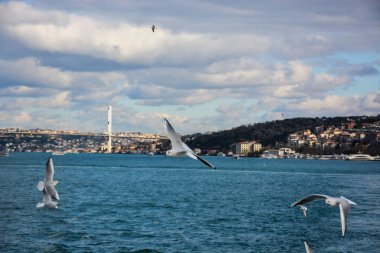 Ramazan arkaplanı, İslami illüstrasyon, desen
