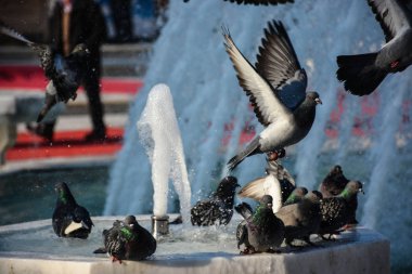 Ramazan arkaplanı, İslami illüstrasyon, desen