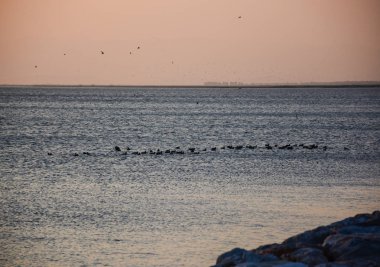 Belge, bizimle irtibat simgeleri stok illüstrasyonunu ayarlayın