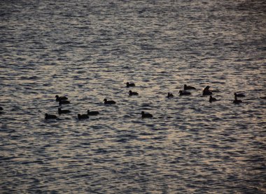 Belge, bizimle irtibat simgeleri stok illüstrasyonunu ayarlayın
