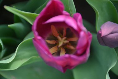 Belge, bizimle irtibat simgeleri stok illüstrasyonunu ayarlayın