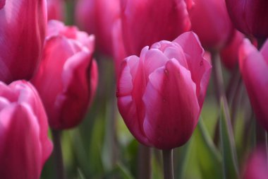 Belge, bizimle irtibat simgeleri stok illüstrasyonunu ayarlayın