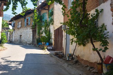 Koyun arkaplan resimleme