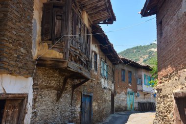 Koyun arkaplan resimleme