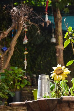 Koyun arkaplan resimleme