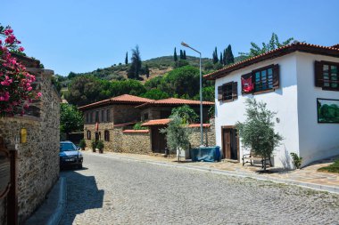 Koyun arkaplan resimleme