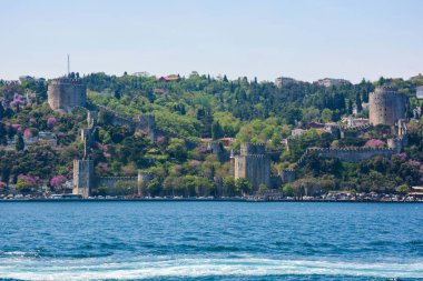 Koyun arkaplan resimleme