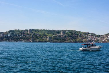 Koyun arkaplan resimleme