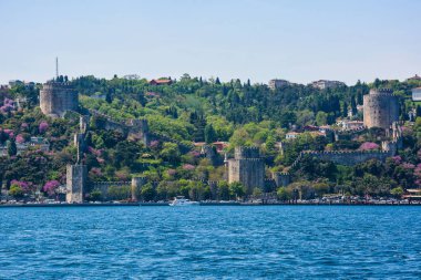 Koyun arkaplan resimleme