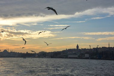 Koyun arkaplan resimleme