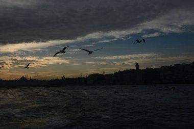 Koyun arkaplan resimleme