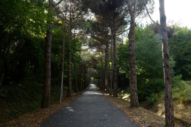 Koyun arkaplan resimleme