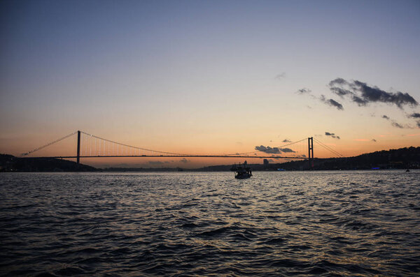 Иллюстрация на фоне овец