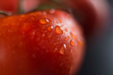 su üzerinde kırmızı domates bırakır. yakın çekim.