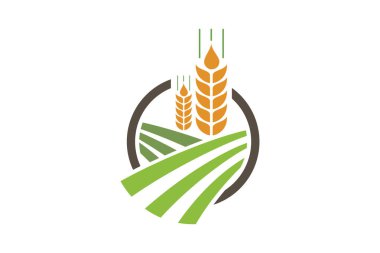 Tarım buğday Logo Şablonvektör simgesi tasarım, Buğday, Arpa veya Çavdar vektör görsel grafik simgeleri, Tarım simgesi Ears. Tasarım için vektör kavramı illüstrasyon. buğday çok renkli simgesi. Çiftlik kümesinin elemanları. Web siteleri için basit simge,