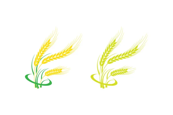 Сельское Хозяйство Пшеницы Логотип Векторные Иконки Ухо Пшеницы Ячмень Ржаной — стоковый вектор