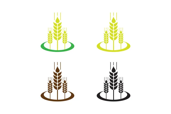 Agricultura Trigo Logo Plantilla Vector Icono Diseño Orejas Trigo Cebada — Archivo Imágenes Vectoriales