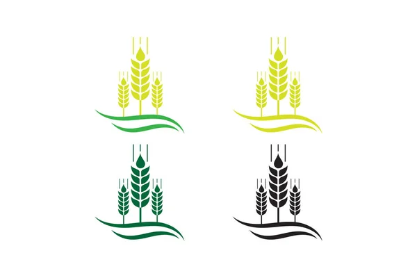 Rolnictwo Pszenica Logo Szablon Ikona Wektor Projekt Uszy Pszenicy Jęczmienia — Wektor stockowy
