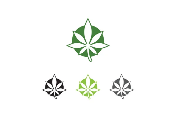 Cannabis Logotipo Folha Projetos Inspiração Isolado Fundo Branco Vetor Ícone — Vetor de Stock