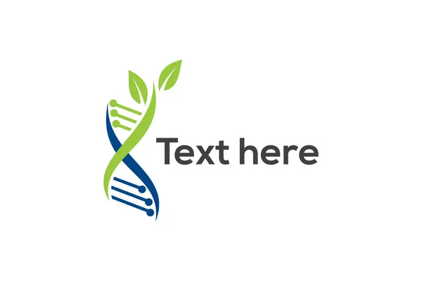 Organik Dna Logosu, Dna Logo tasarımı, Yaprak logosu, yaprak ile Dna, Dna Logo Vektör, Dna, genetik simge - yeşil yaprakları ile ağaç, yeşil yaprakları ile Dna spiral. Akupunktur, biyokimya, eczane şirketi için vektör amblemi.