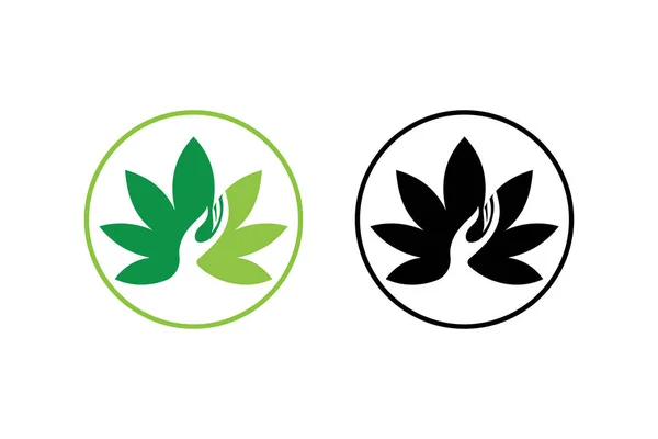 Icono Del Logotipo Hoja Cannabis Marihuana Con Ilustración Mano Plantilla — Vector de stock