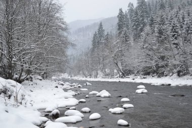 Güzel, karlı Karpatya dağları ve kışın parlak bir nehir. Peyzaj