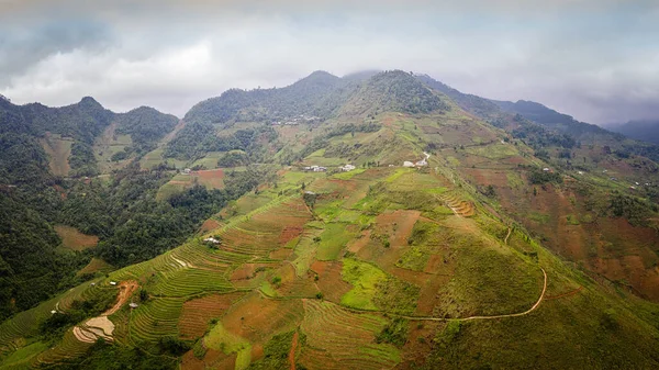 Paysage vietnamien typique au printemps avec rizières — Photo