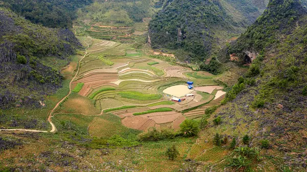 Typiskt vietnamesiskt landskap på våren med risfält — Stockfoto