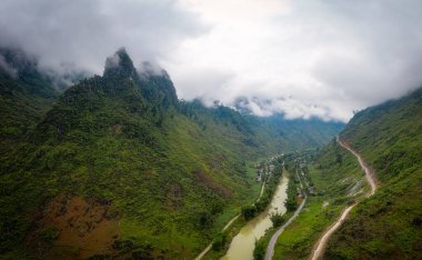Tipik Vietnam manzarası ilkbaharda pirinç tarlalarıyla