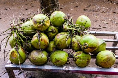 Tipik Vietnam yemekleri ve taze hindistan cevizli bölgesel sağlıklı yemekler.