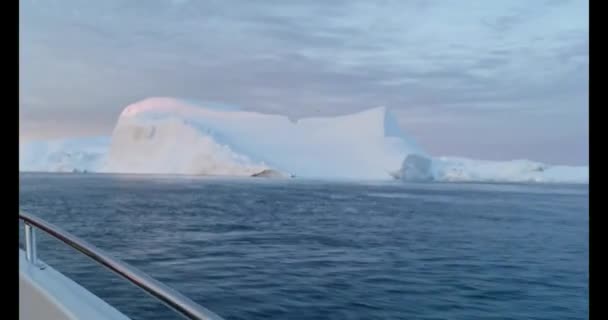 Плавающие ледники в заливе Диксо-Бей на западе Гренландии — стоковое видео