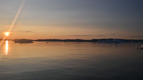 Ghiacciai galleggianti nel Golfo di Dicso Bay nella Groenlandia occidentale — Video Stock