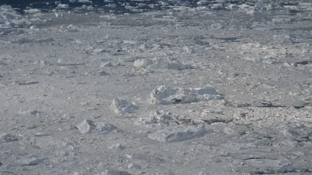 Vuelo sobre glaciar en bahía de hielo en avión — Vídeos de Stock