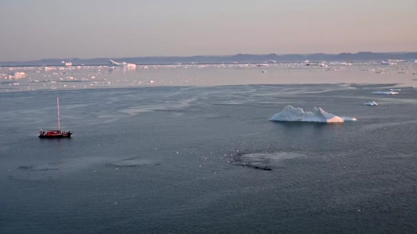Спостерігаючи за гренландськими гренландськими китами з берега. — стокове відео