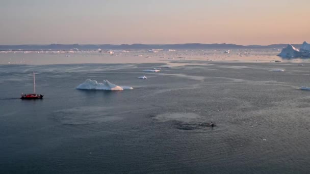 Наблюдая за горбатыми китами Гренландии с берега — стоковое видео
